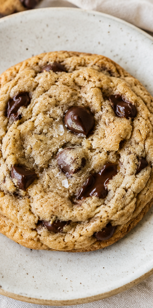 Chocolate Chip Cookie