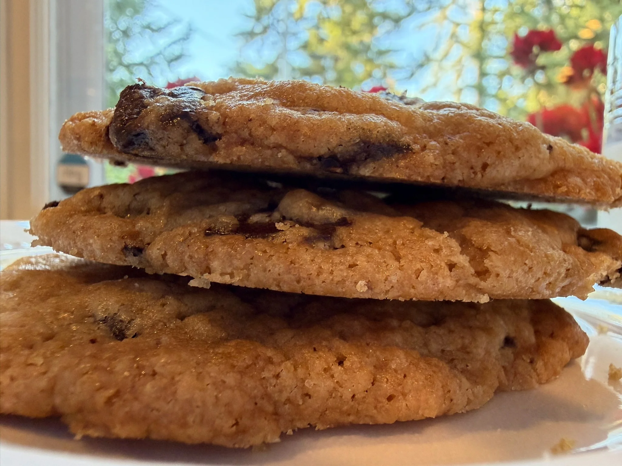 Chocolate Chip Cookie