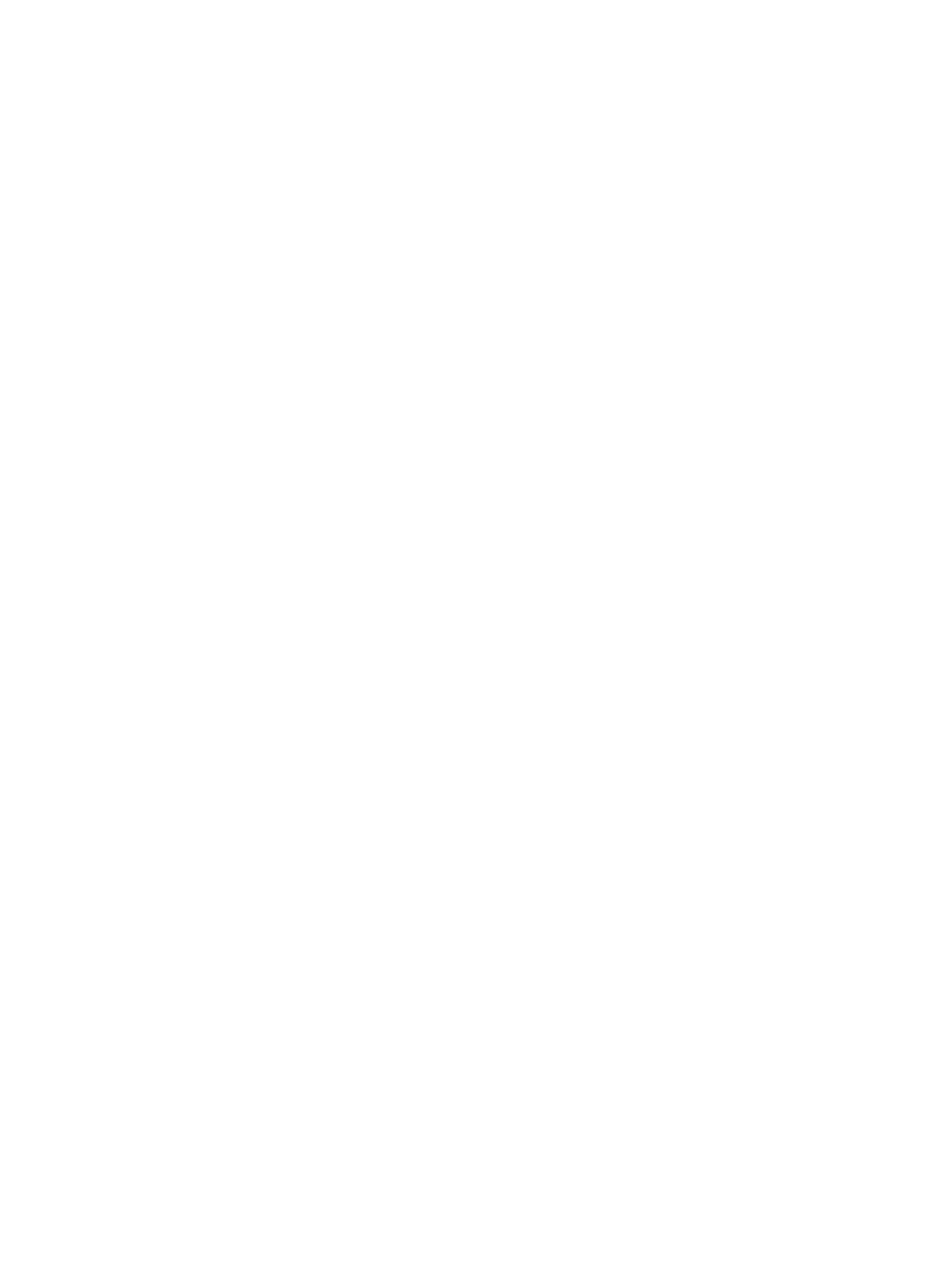 SUCCUBUS Skateboards