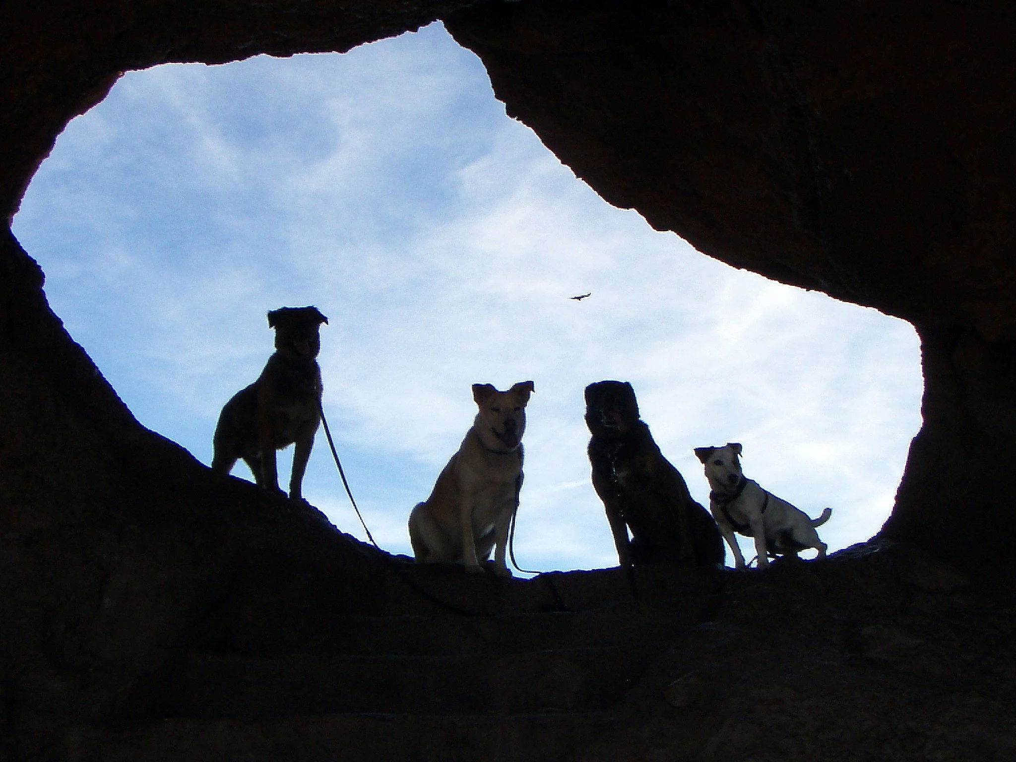 Adventure!