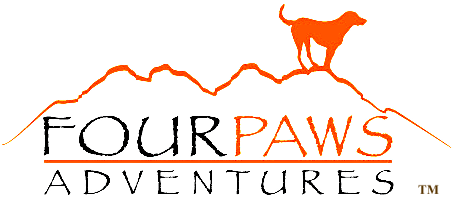 Four Paws Adventures