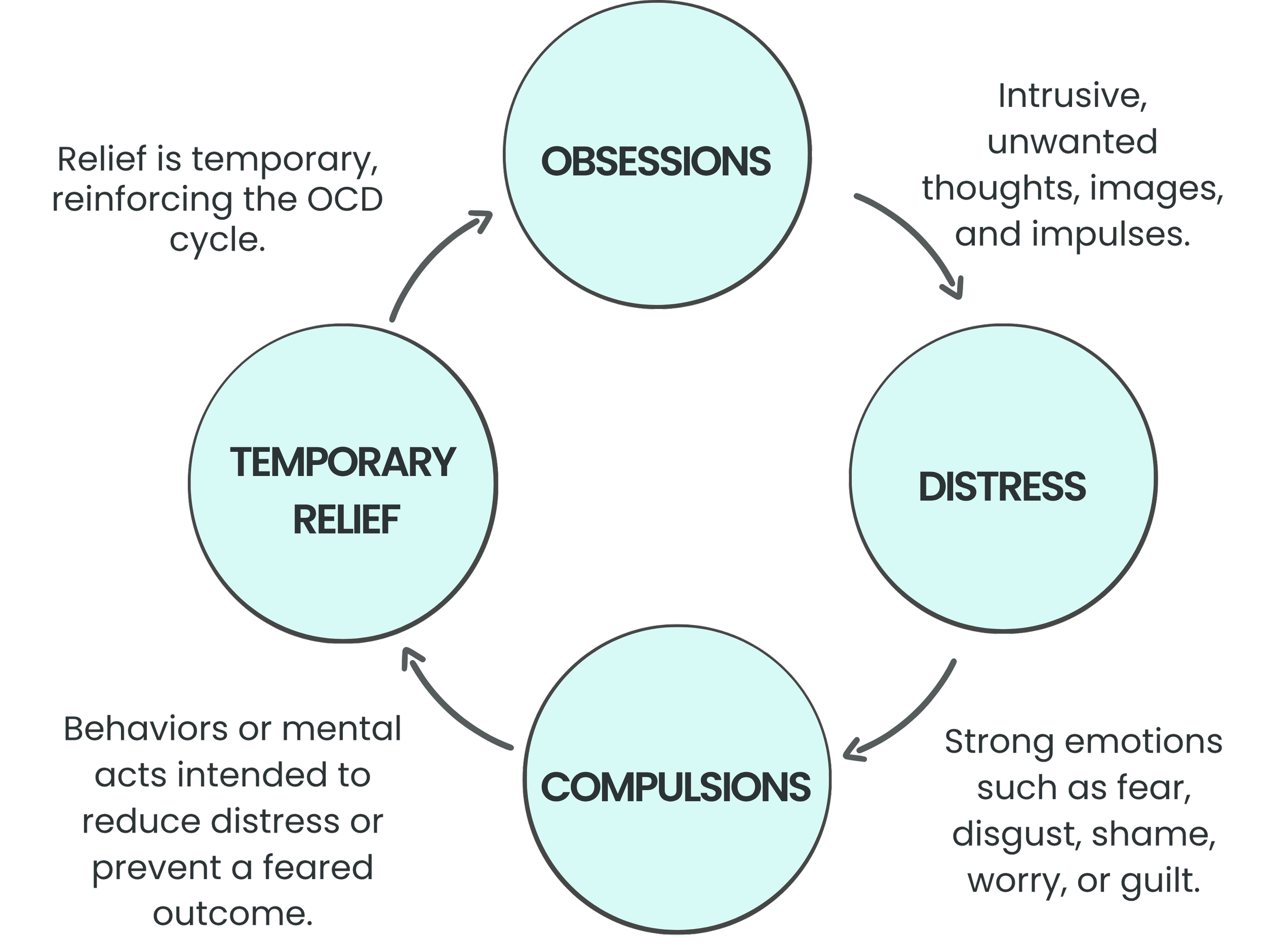 The OCD Cycle