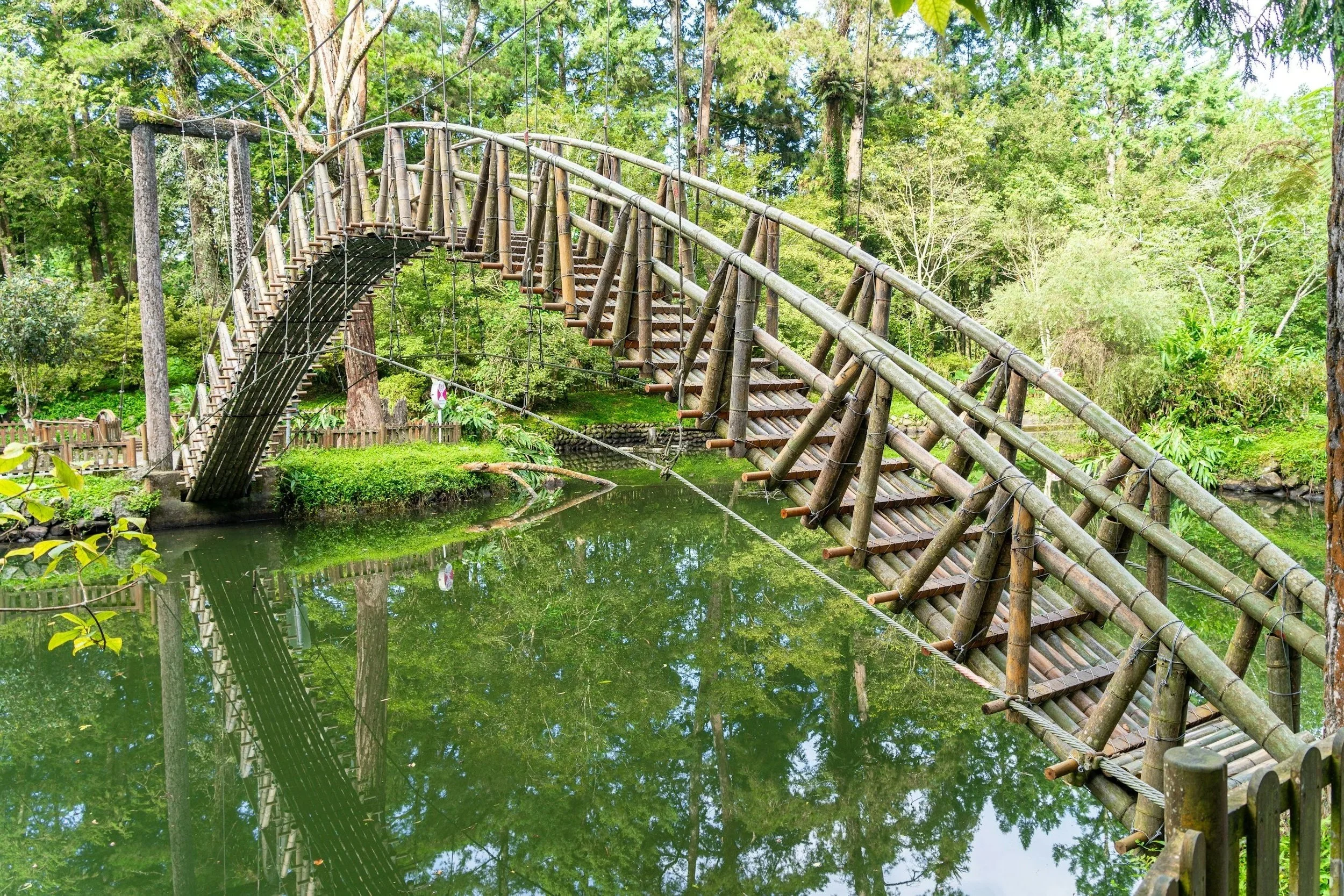 Wooden suspension bridge over a pond in a lush, green forest.