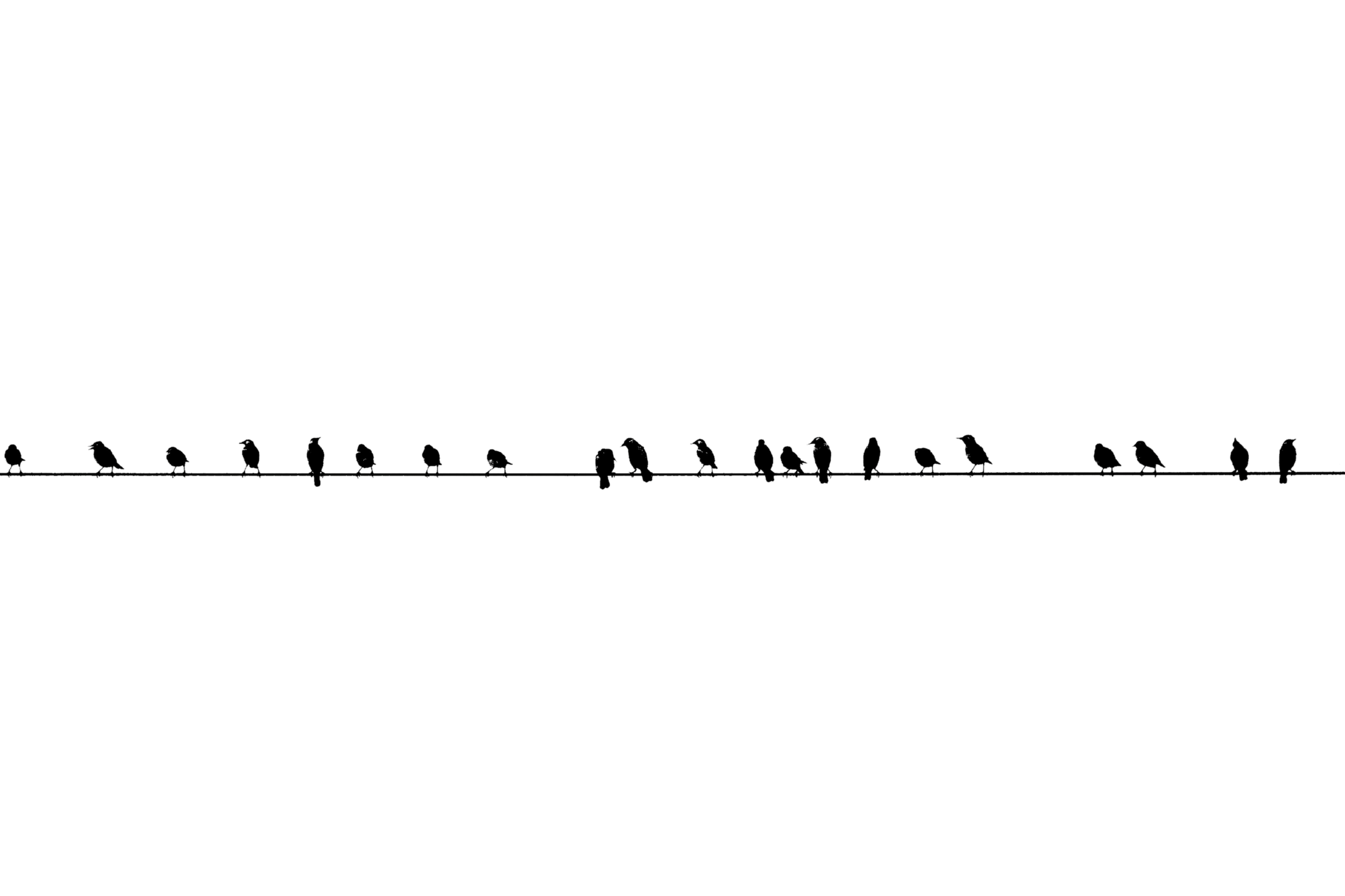 Silhouette of multiple birds sitting on a wire against a black background.