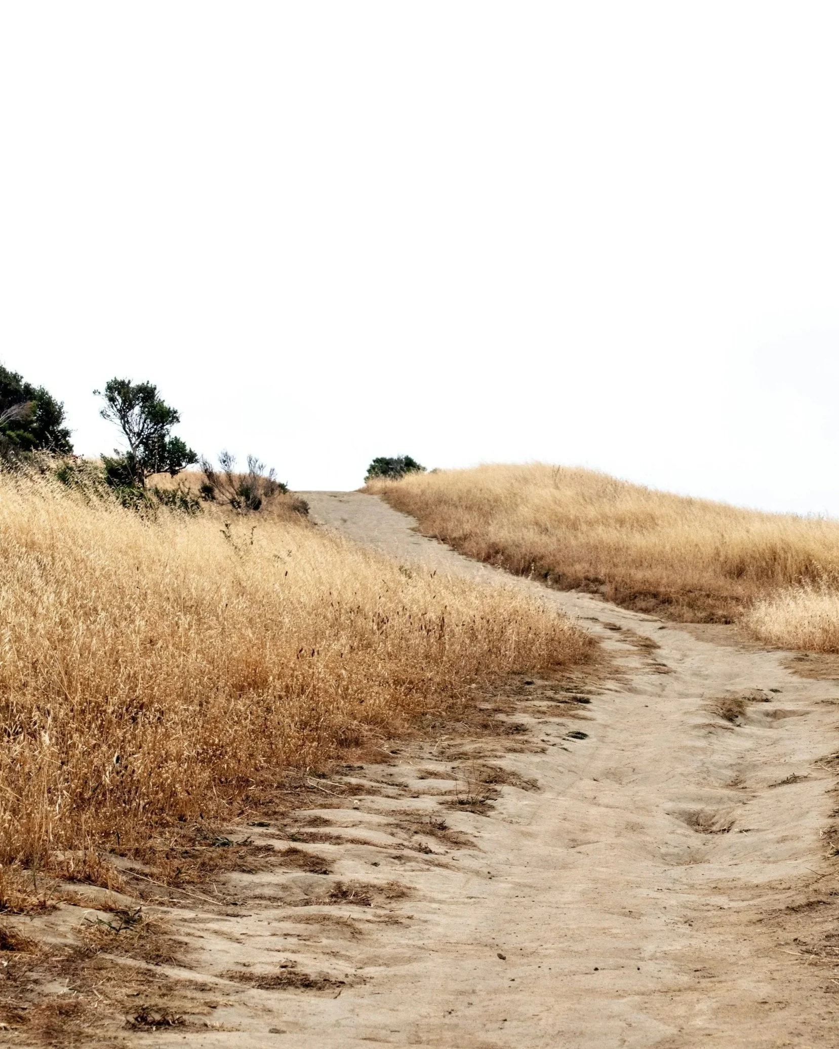 A dirt trail winds through dry yellow grass with several small, sparse trees on a hillside under a mostly cloudy sky.