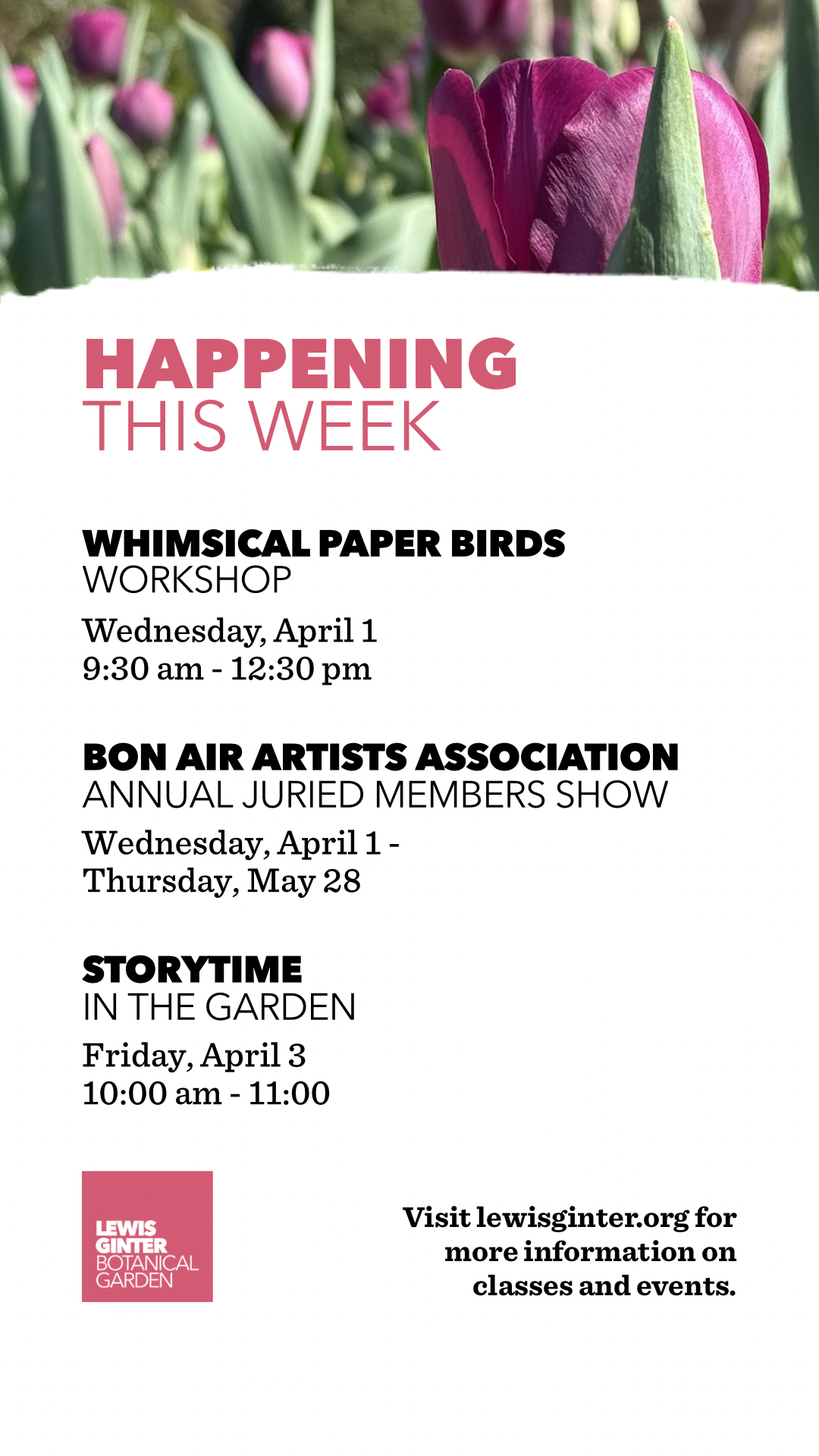 THIS WEEK AT - 1.PNG