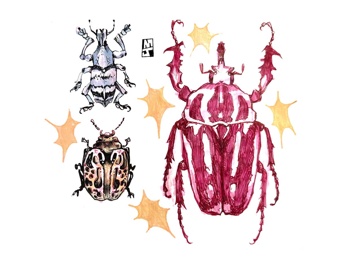 beetles print.jpg