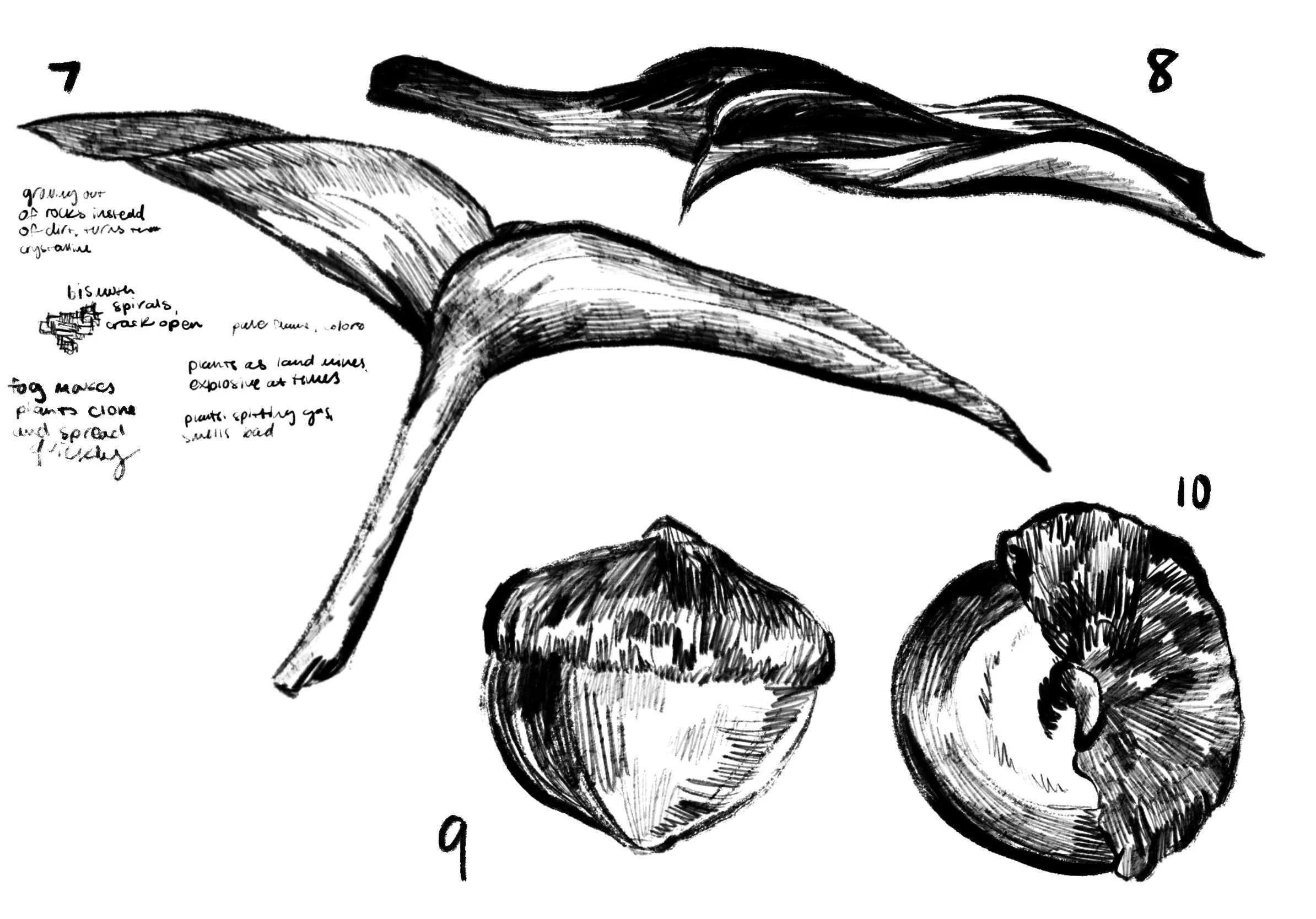 Object sketches 3.jpg