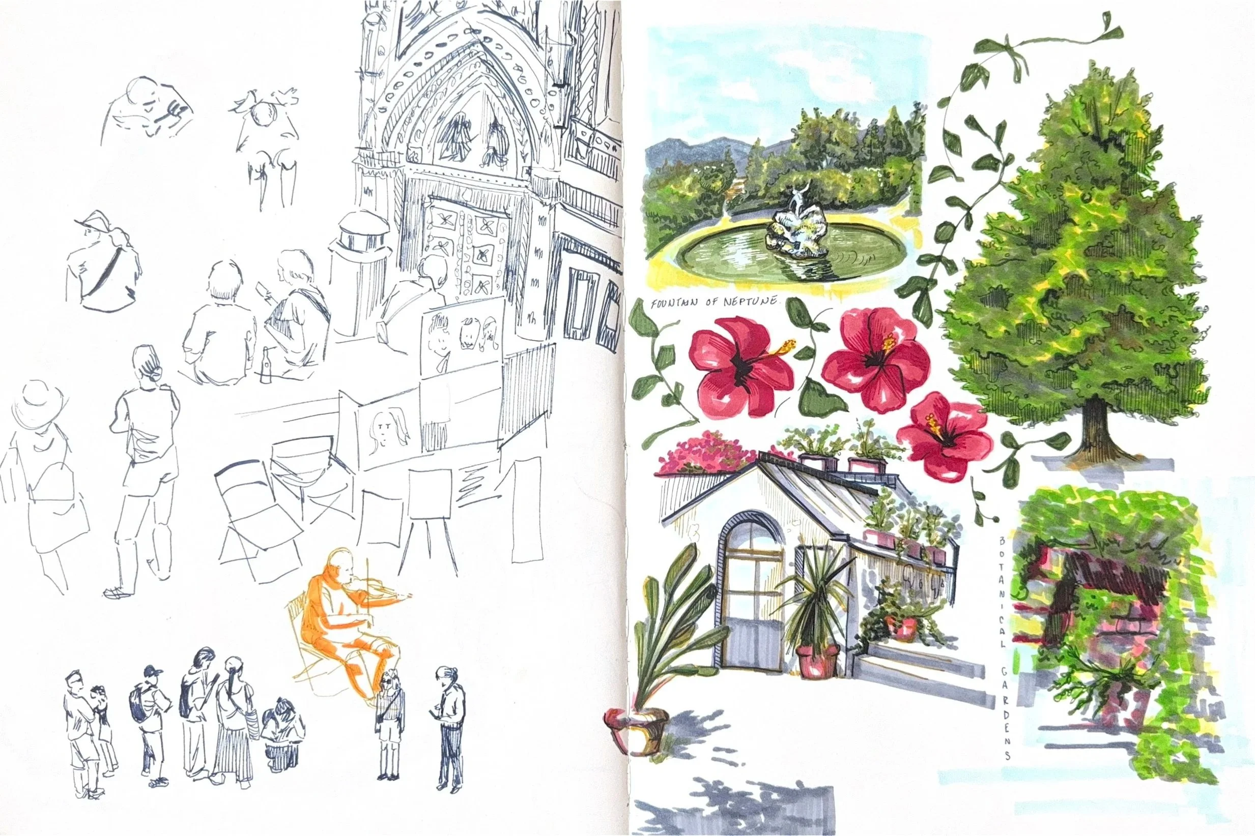 garden.jpg