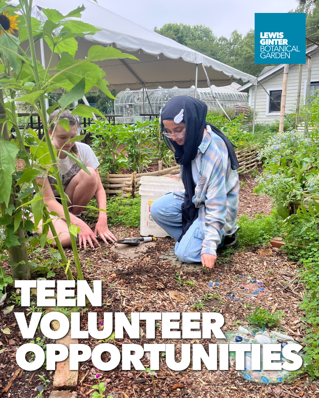 TEEN VOLUNTEER.PNG