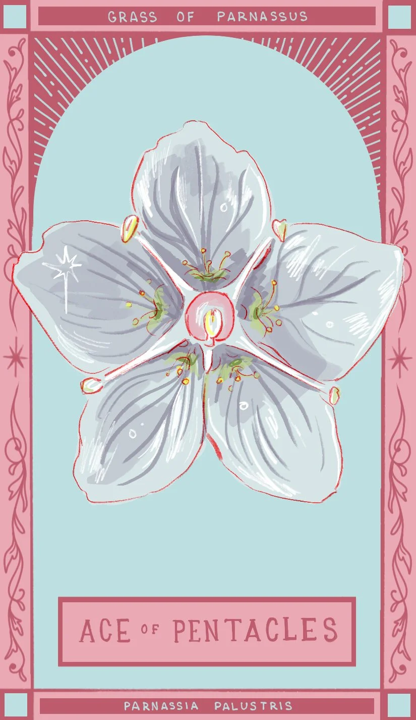 ace of pentacles.jpg