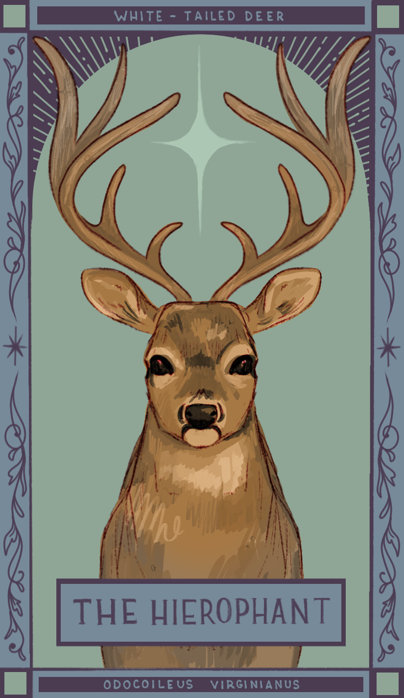 the hierophant.png