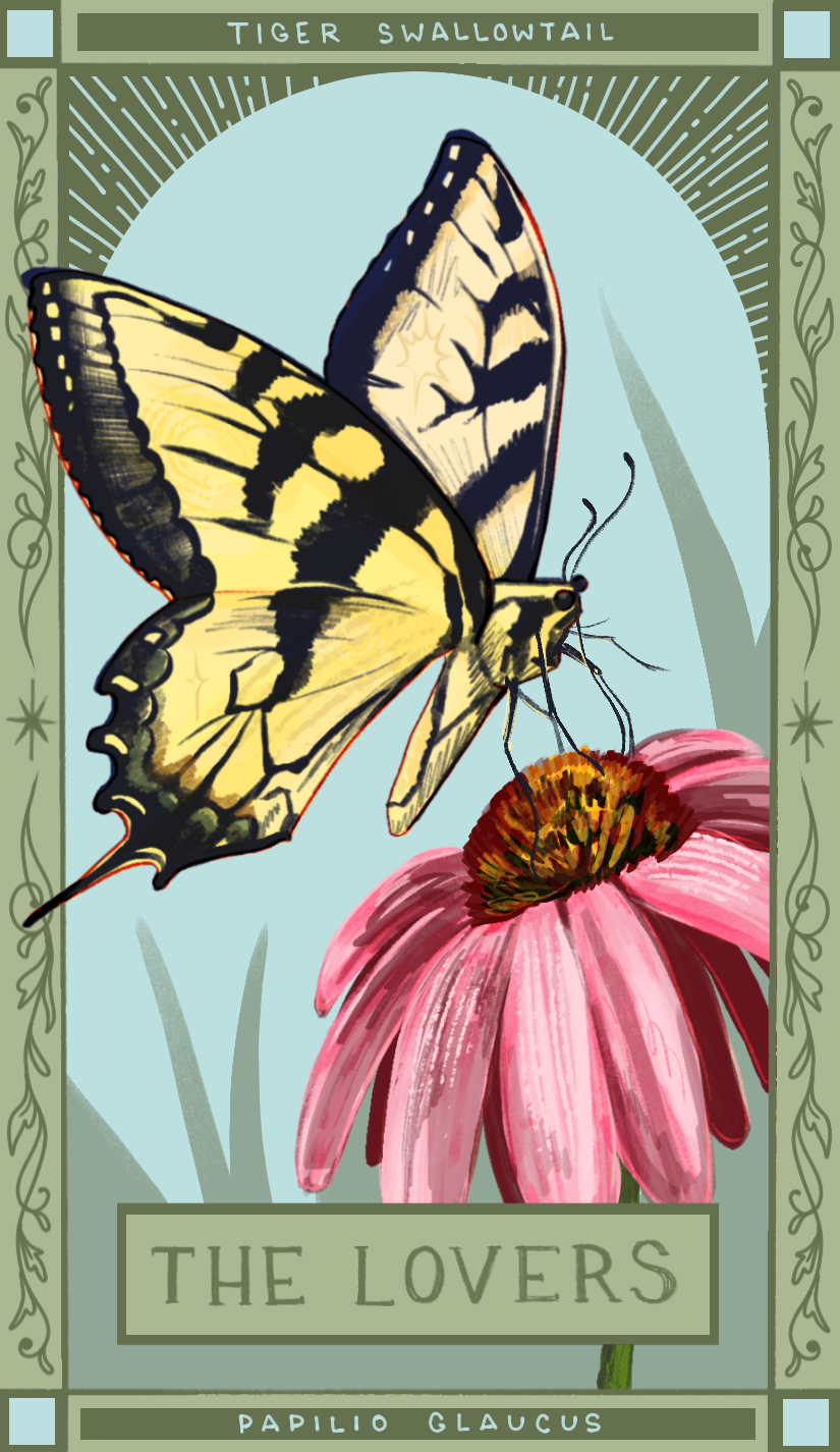 tigerswallowtail.PNG