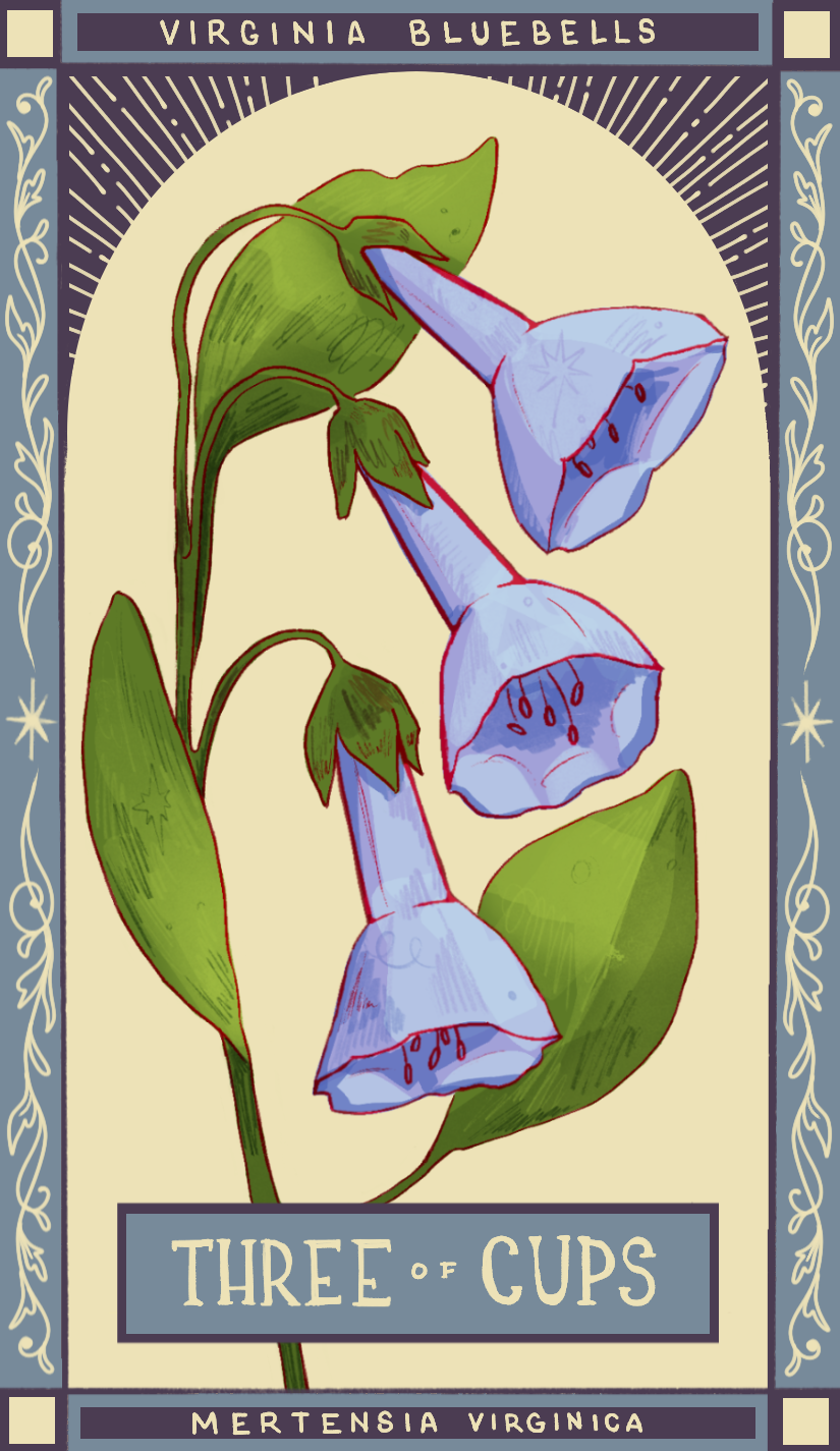 bluebells.PNG