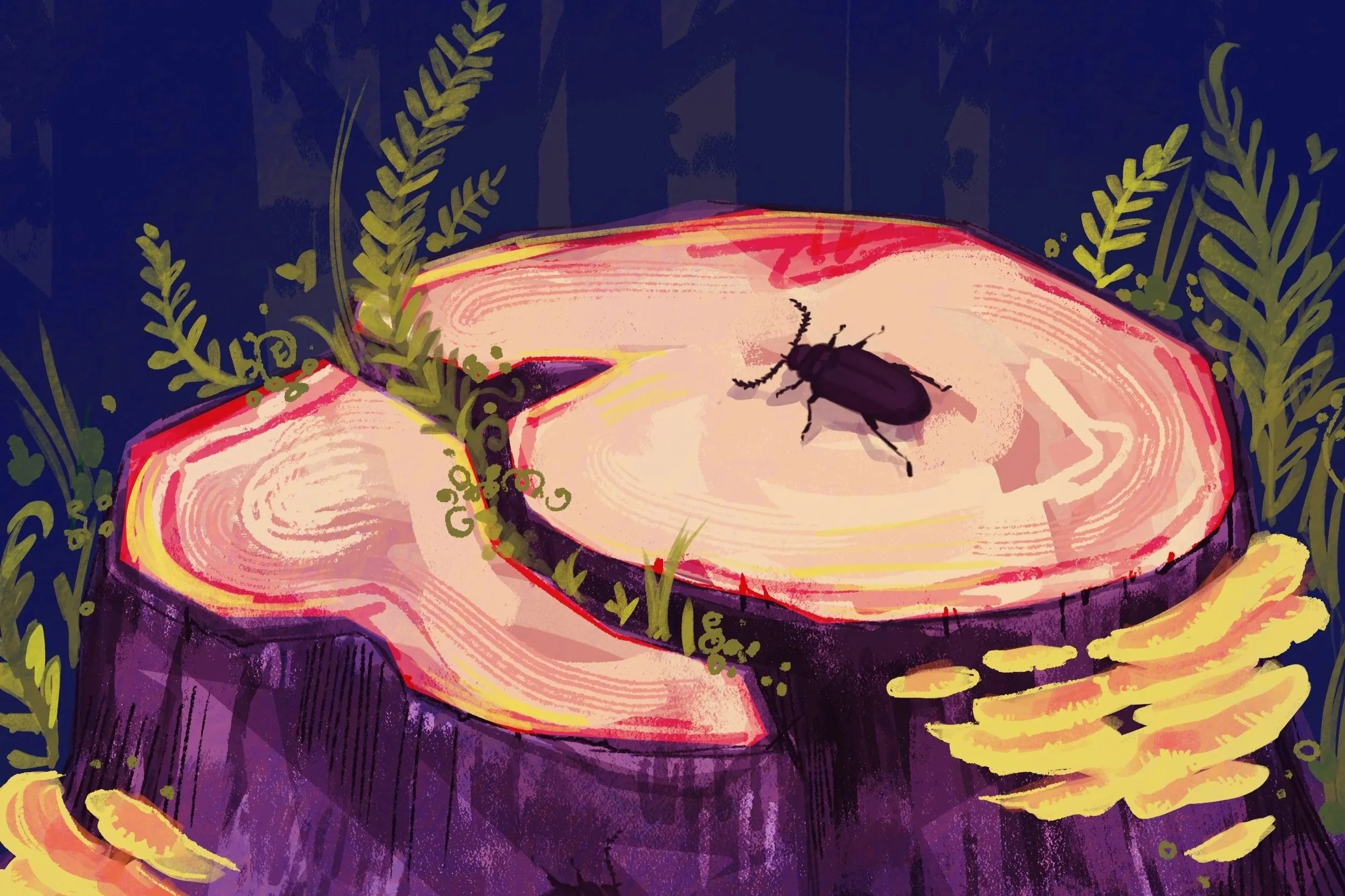 Botanicals / Nature
