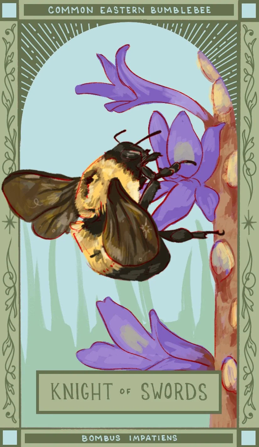 knight of swords.jpg