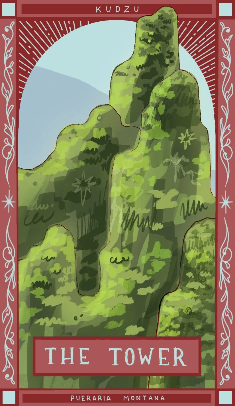 the tower.jpg