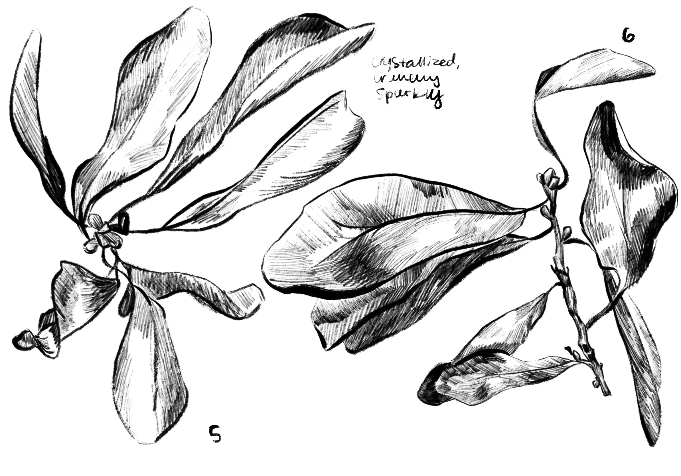 Object sketches 2.jpg