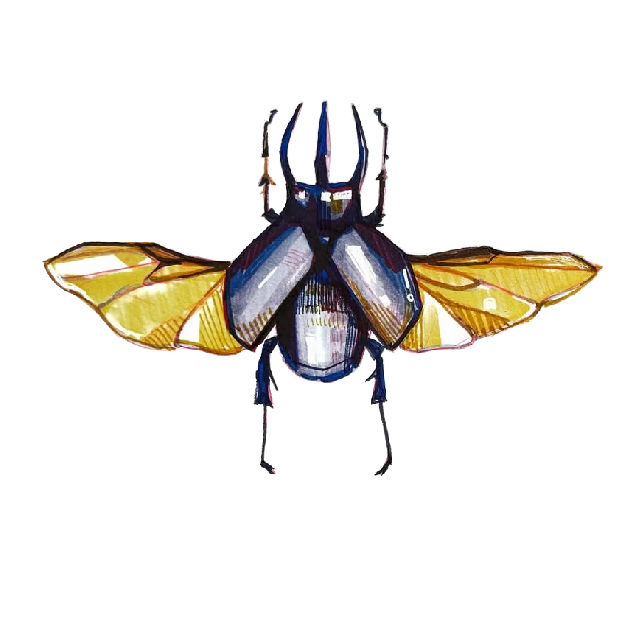 blue beetle.png