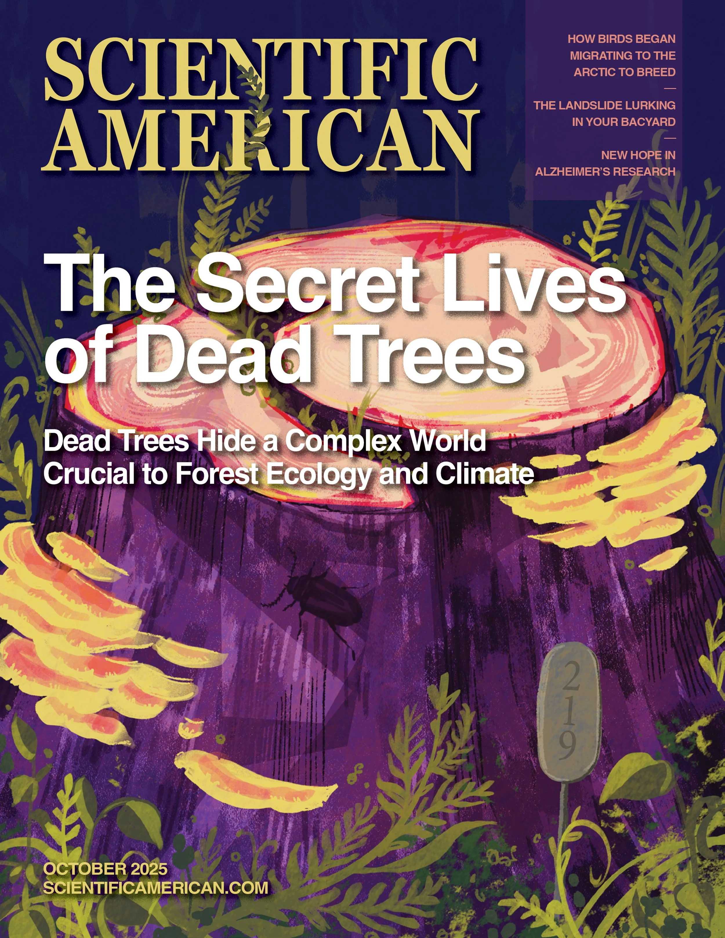 secretlivesofdeadtreesspread.jpg