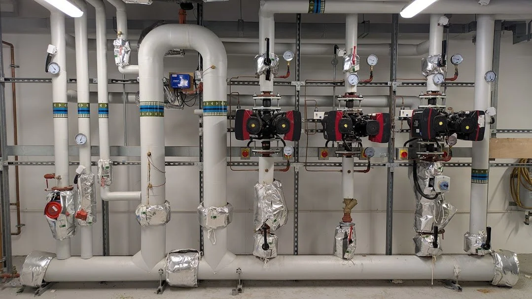 PXL_20260421_113501450.MP.jpg