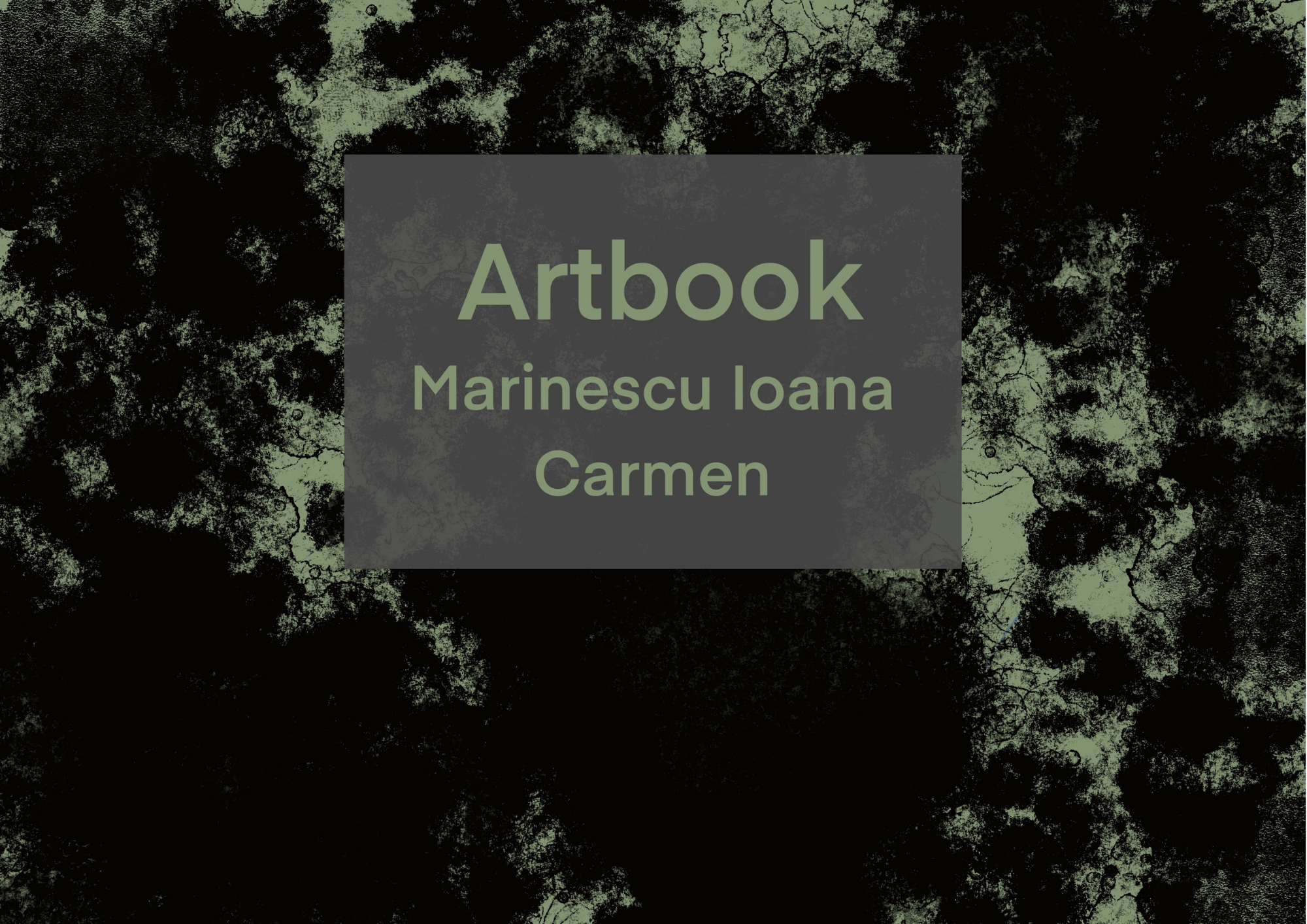 Artbook The Bad Man