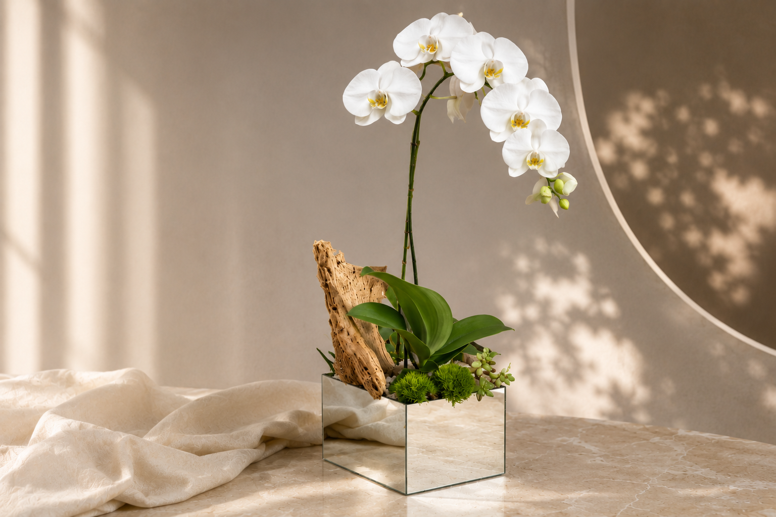 Orquidea
