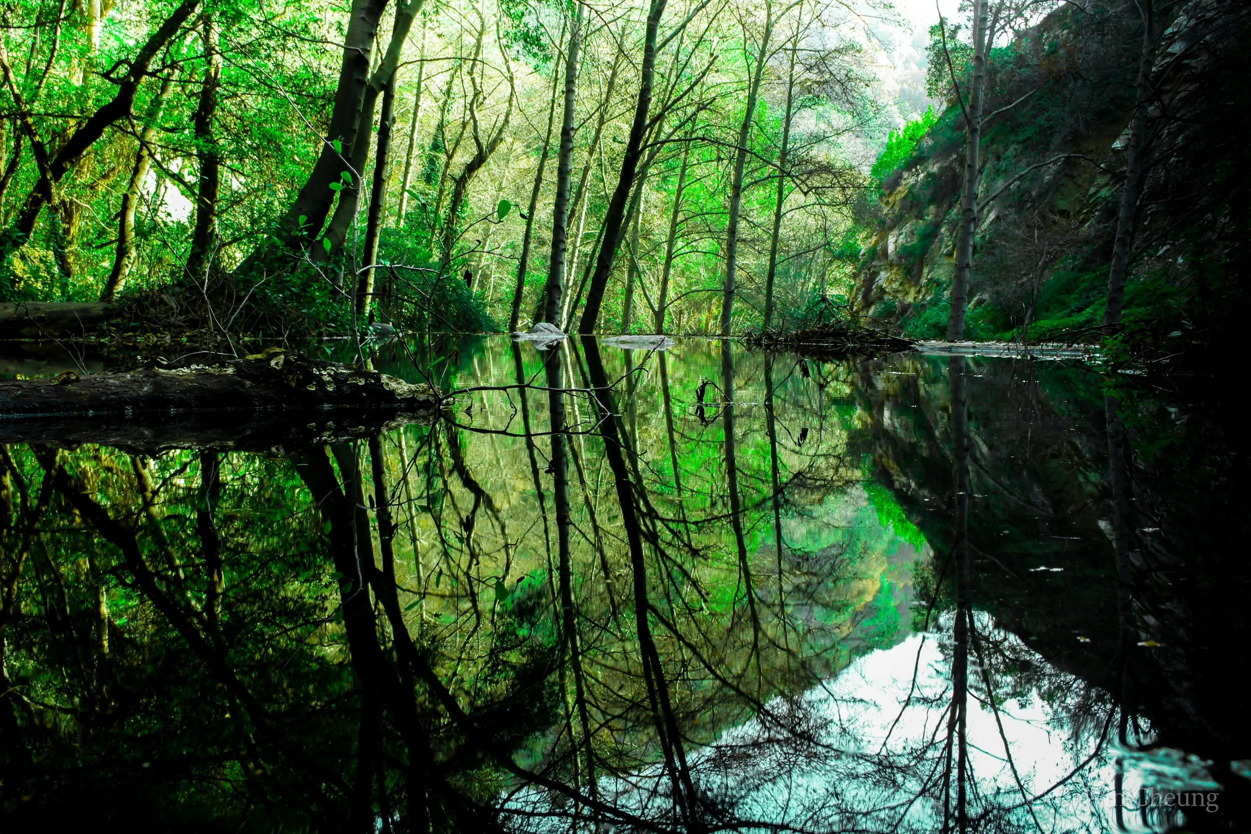 Architecture, Art & Nature