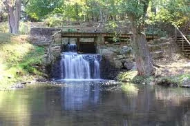 A small waterfall flowing into a pond surrounded by trees and greenery.