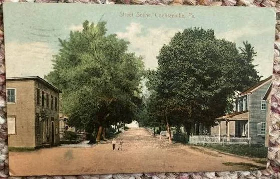 Vintage postcard of street scene in Couchville, Pennsylvania, featuring large leafy trees and old buildings on either side.