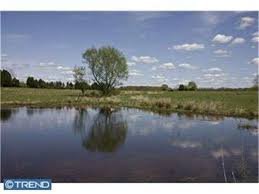 A peaceful lakeside scene with a tree and blue sky reflected in the water