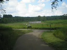 A dirt path leading to a small wooden bridge over a marshy wetland, surrounded by green grass and trees under a partly cloudy sky.