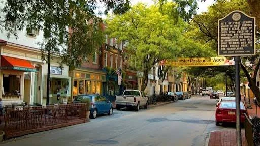 A downtown street with parked cars, storefronts, and trees lining the sidewalk. There is a yellow banner hanging across the street.