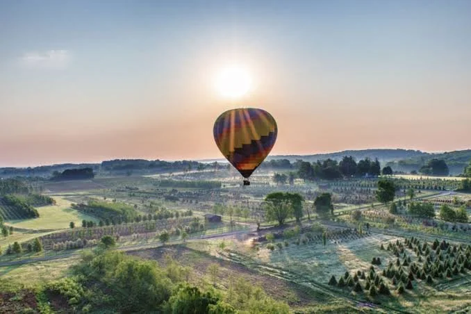 A hot air balloon floating over a lush, green landscape during sunrise or sunset, with fields, trees, and distant hills.