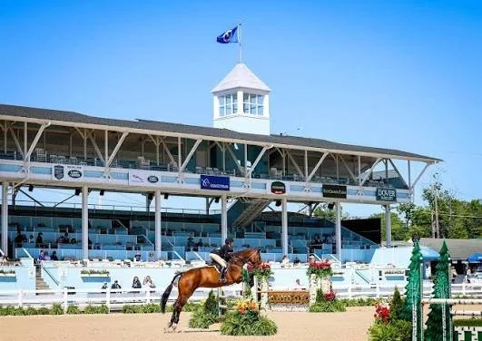 Horse and rider jumping over obstacles at an outdoor equestrian event in front of a grandstand with a clock tower and spectators.