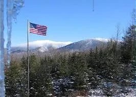 American flag flying on a flagpole in front of snow-covered mountains and evergreen trees.