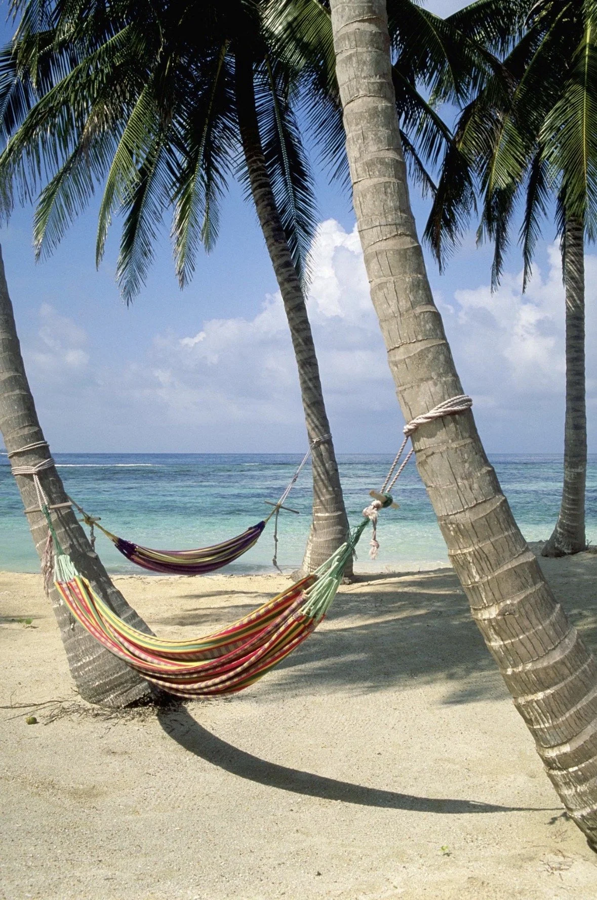 hammock hanging on palm trees on the beach