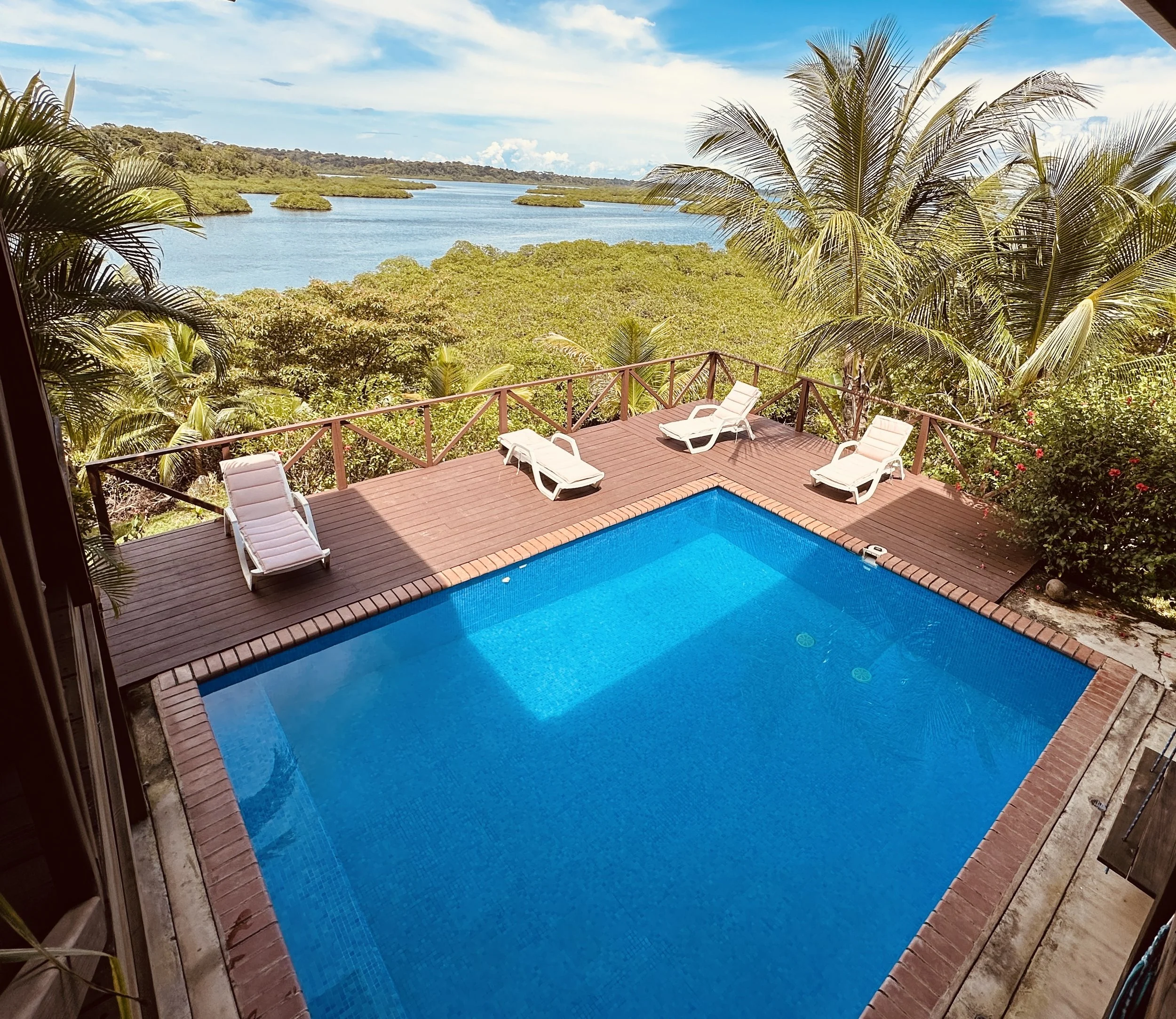 Resort pool overlooking mangroves in Bocas Del Toro, Panama - Retreat venue for Ocean & Earth Wellness