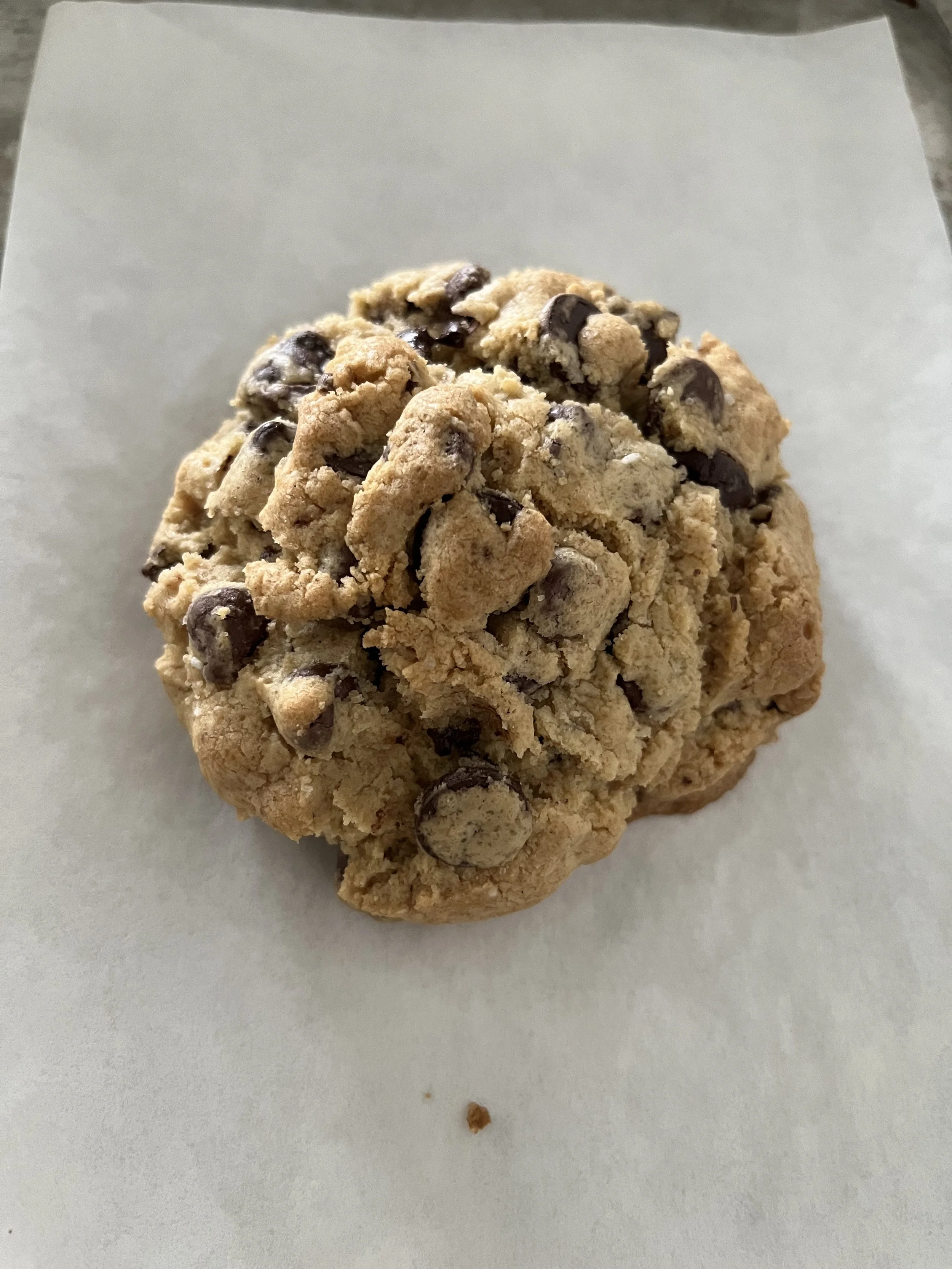 Big Chocolate Chip Cookie