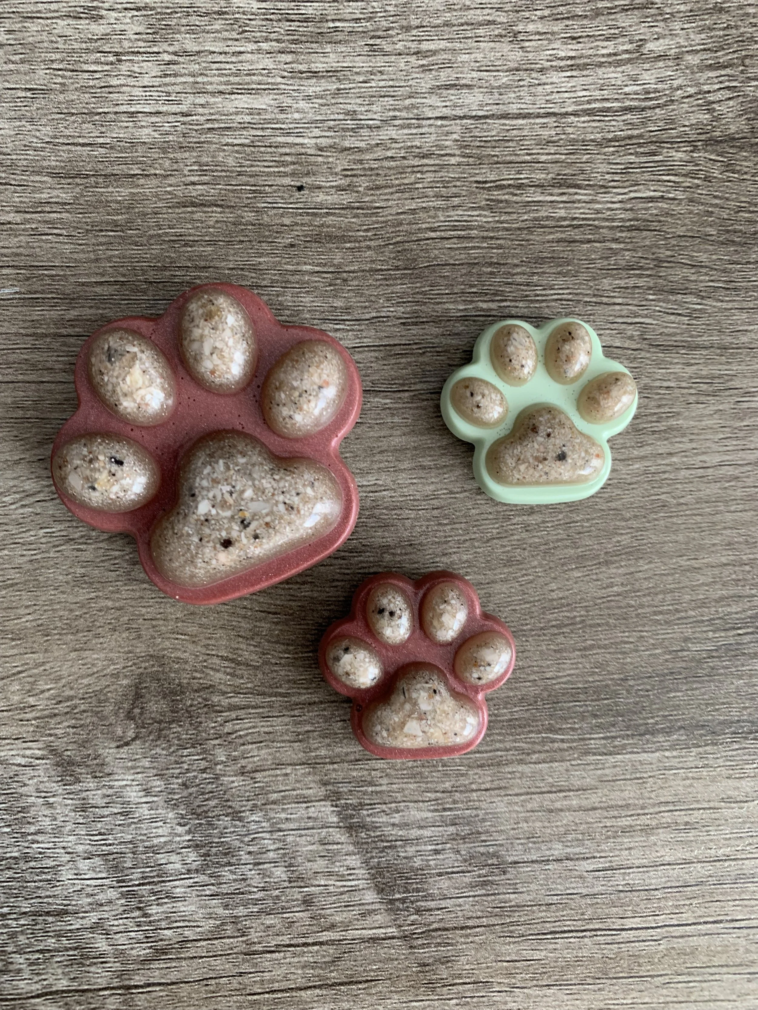 Paw Ash Magnets