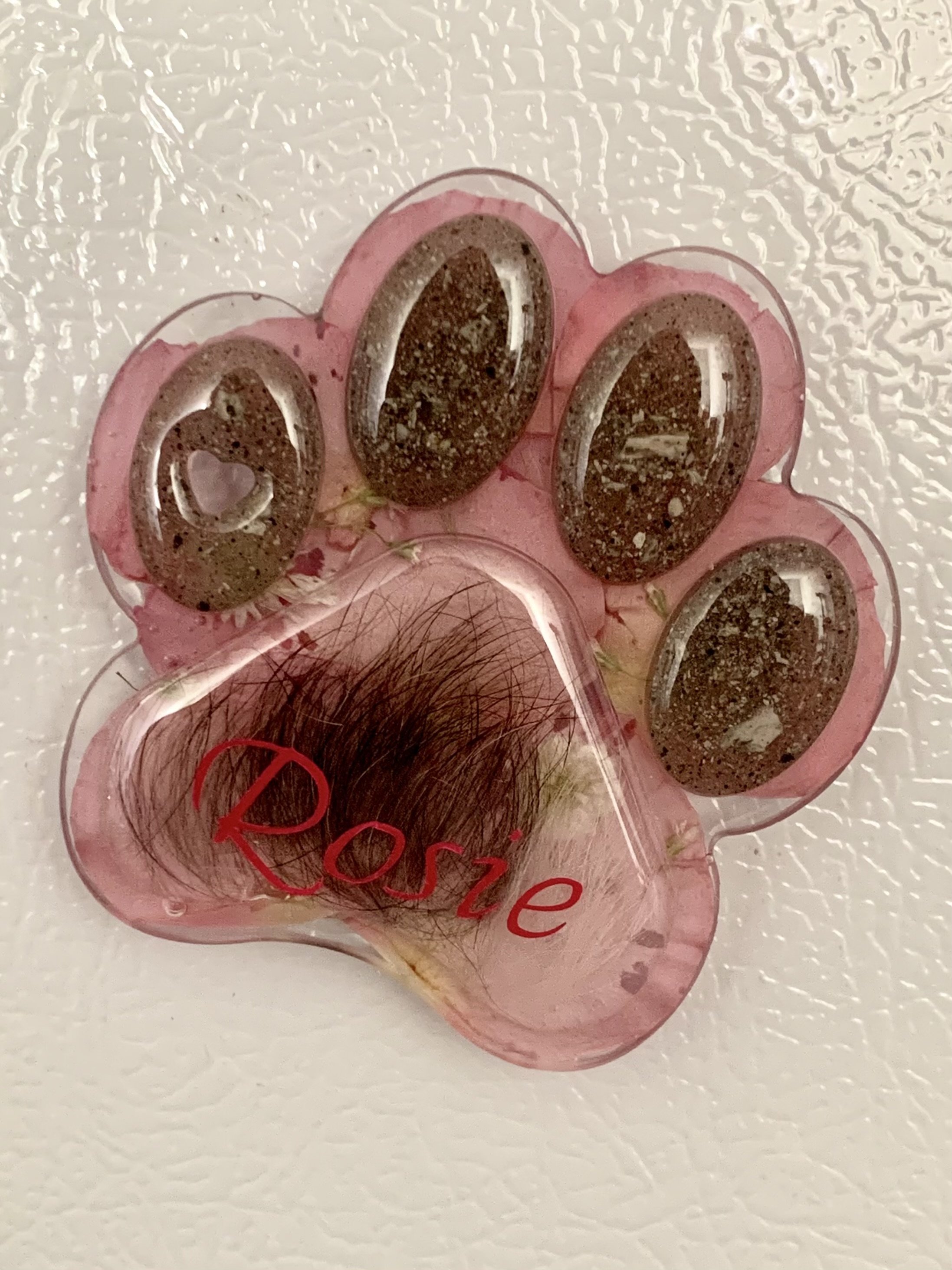 Paw Fur & Ash Magnet Custom Background