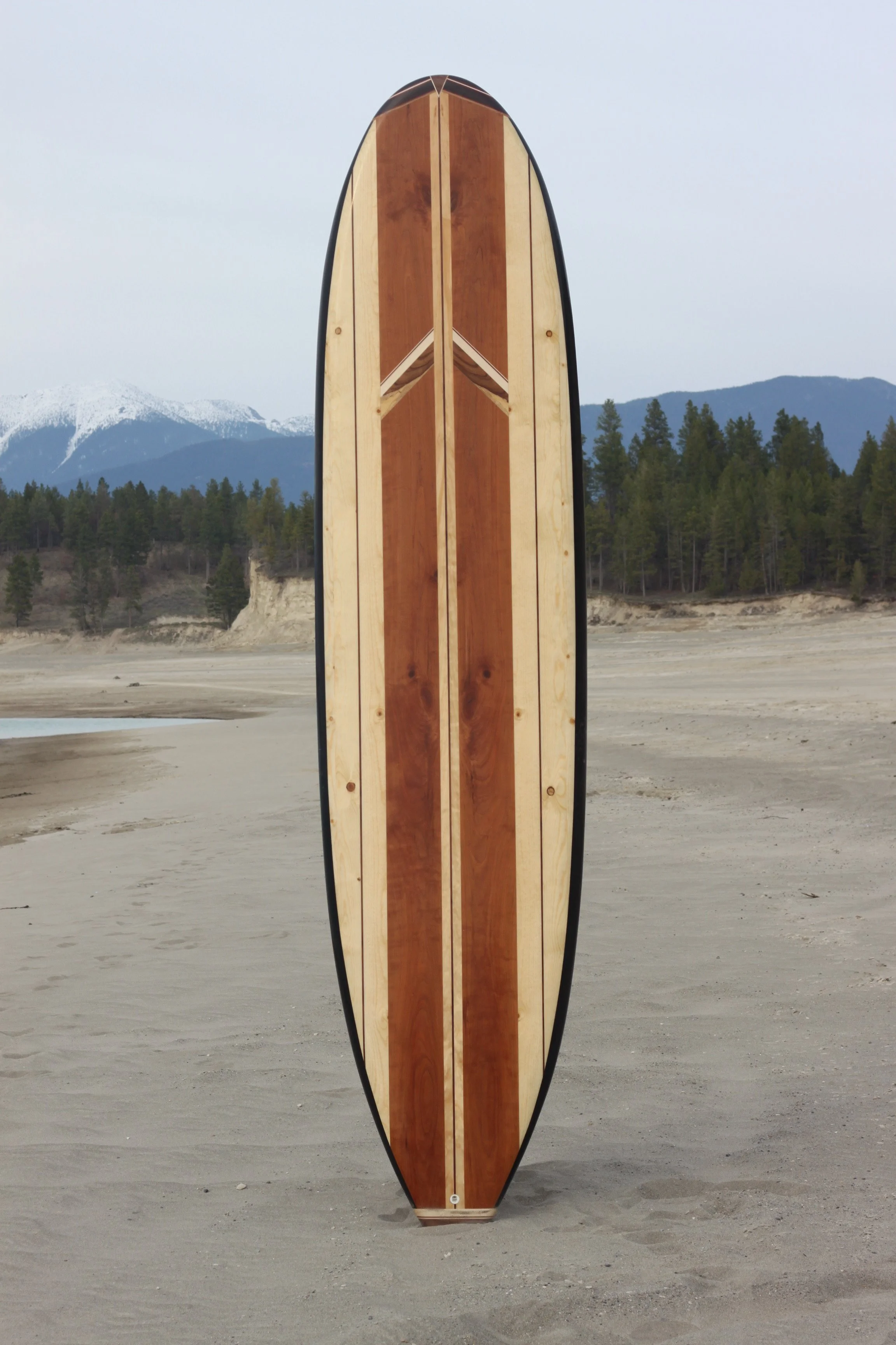A wooden surfboard standing upright on a sandy beach with snow-capped mountains and evergreen trees in the background.