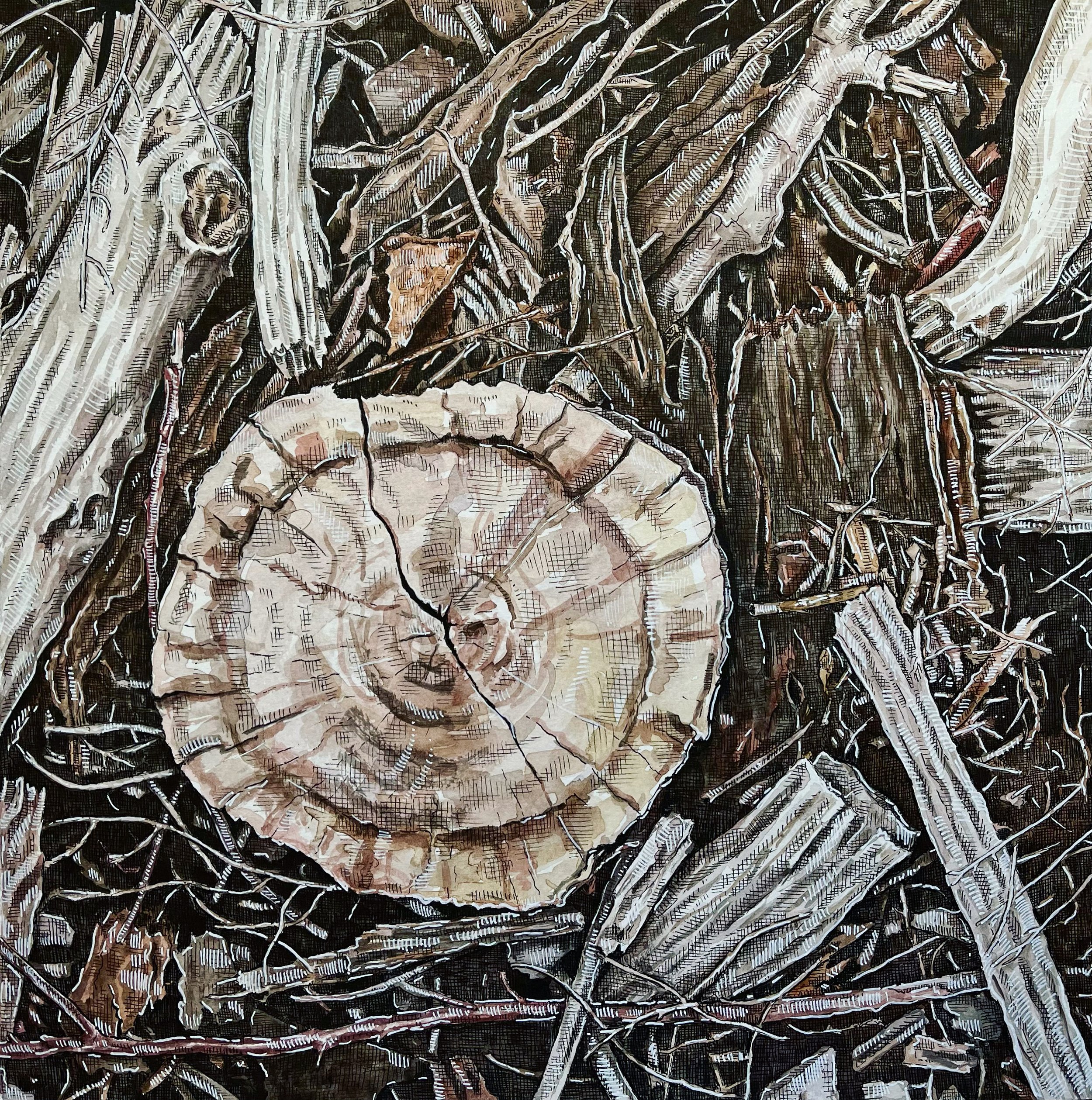 Clearcut Forest Floor. Pen and watercolor on paper. 12” x 12”. 2022.