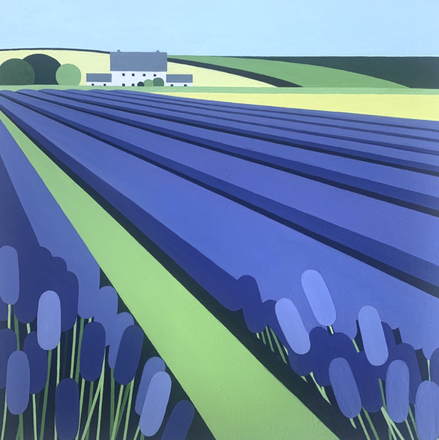 LAVENDER FIELDS  25 x 25cm 2023

