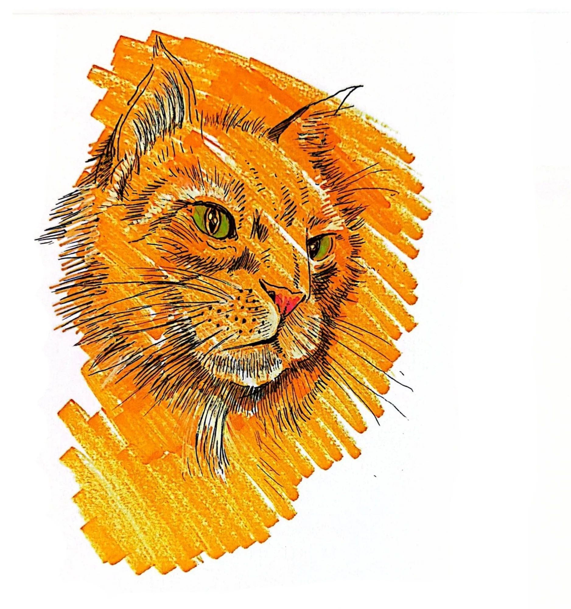 Illustration of a cat with green eyes, orange fur with darker orange stripes, and long whiskers, depicted in a sketch style on a white background with orange brush strokes.