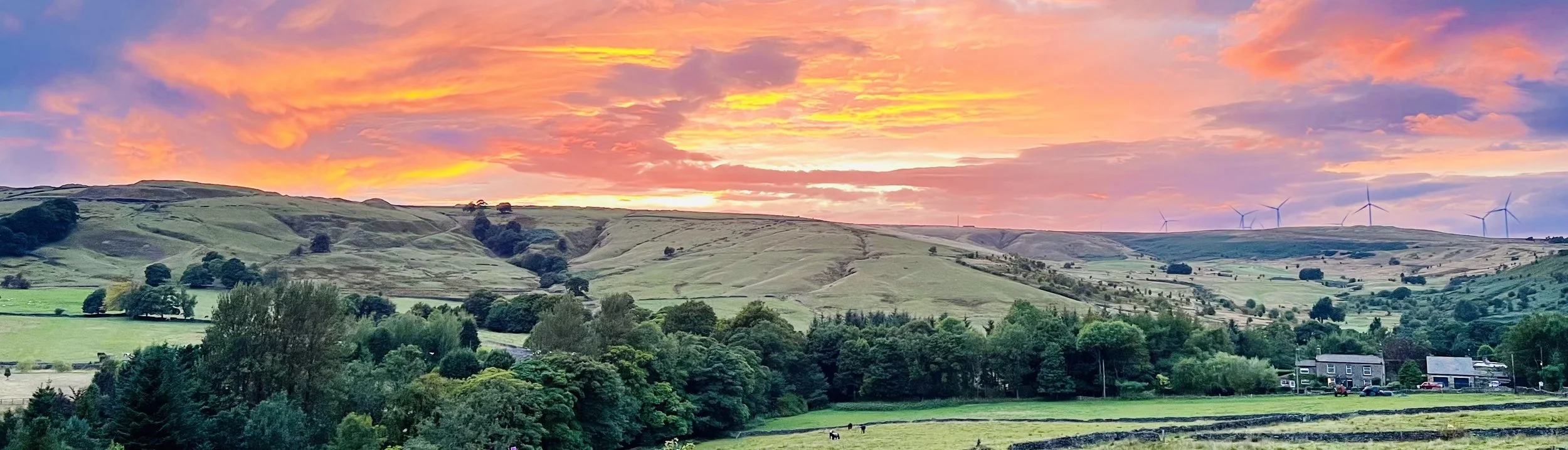 Scenic landscape of rolling green hills with a sunset sky filled with orange, pink, and purple clouds. Forested areas, farmhouses, wind turbines on distant hilltops, and grazing cows in the foreground.