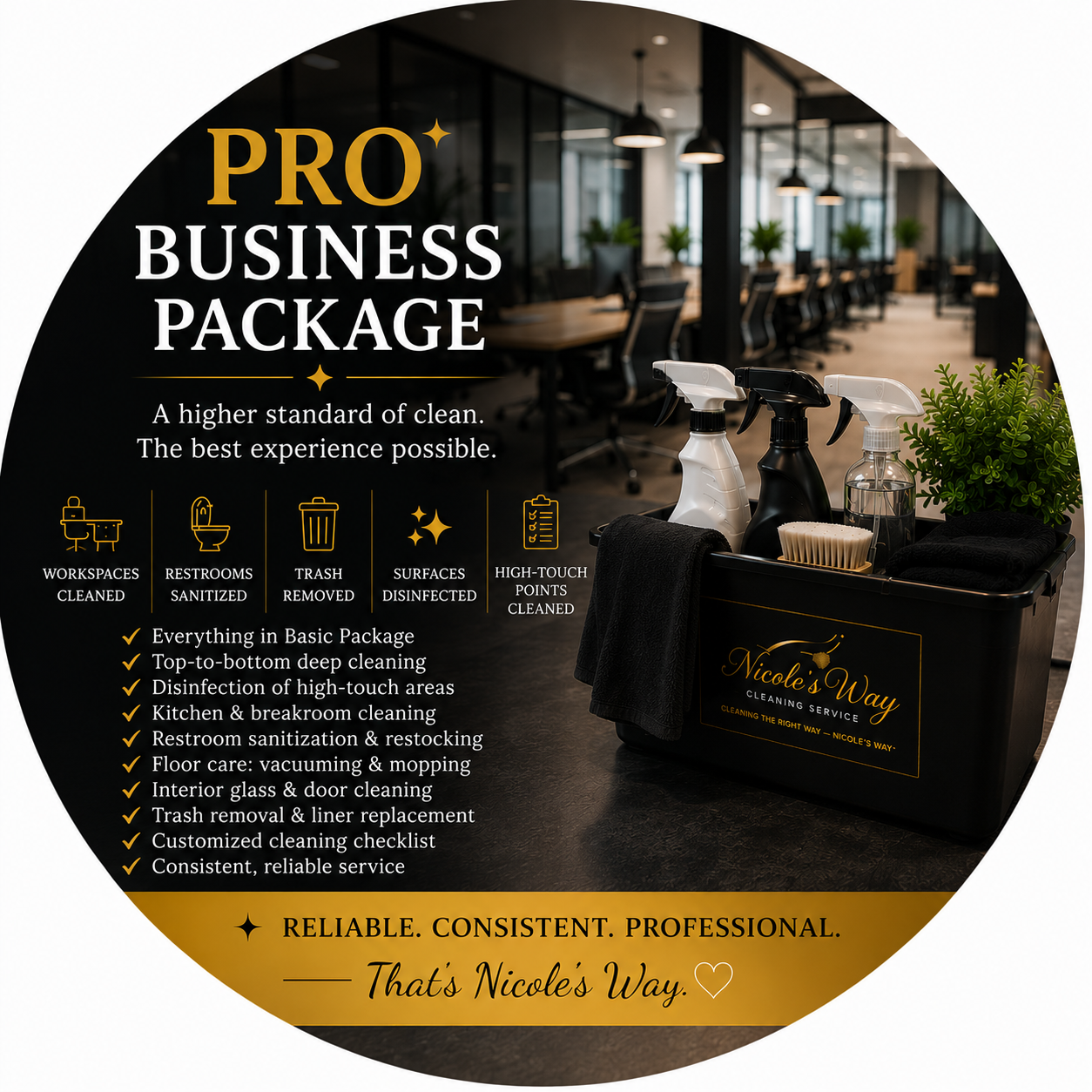Pro Business Package