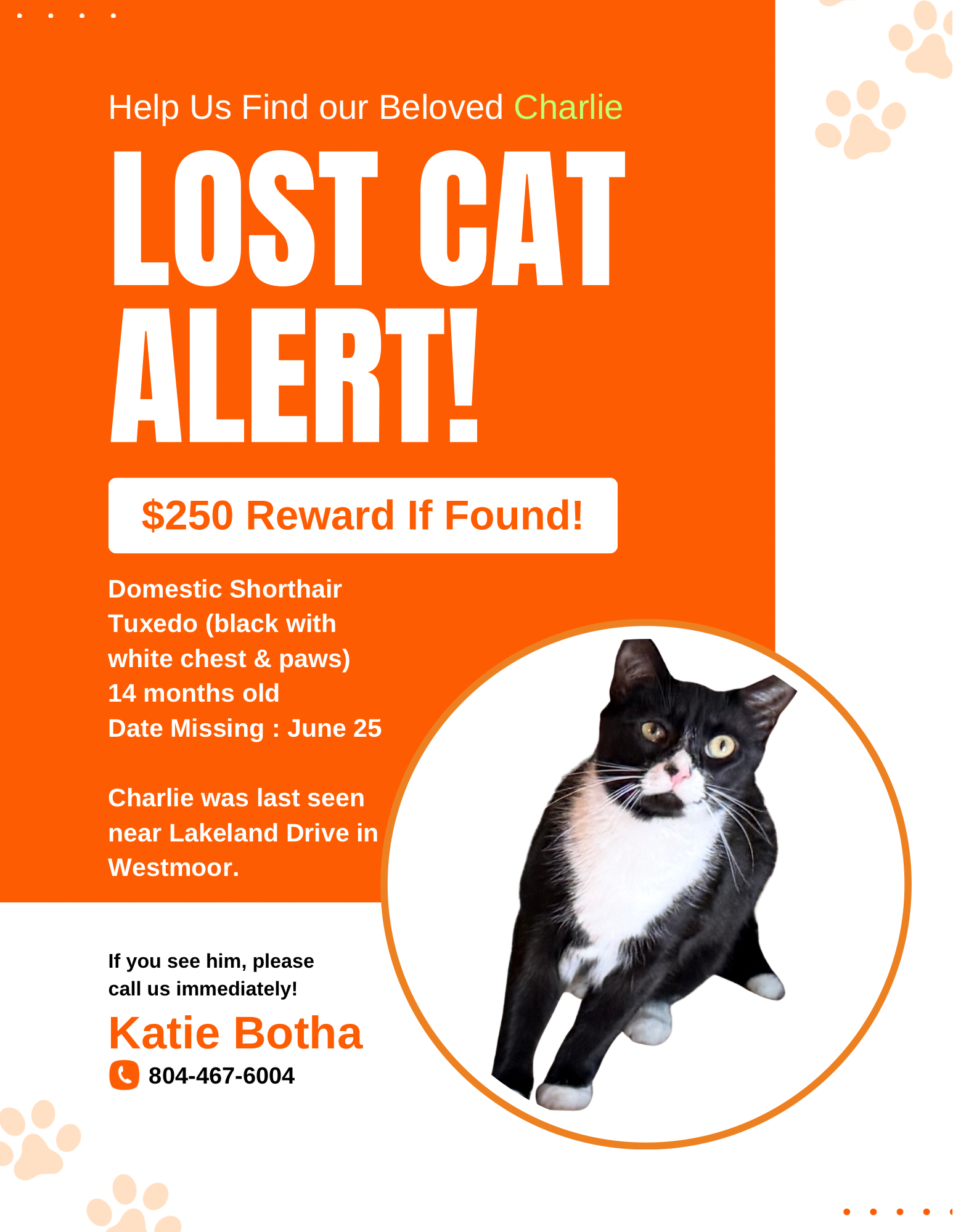 Katie Botha - 2.PNG