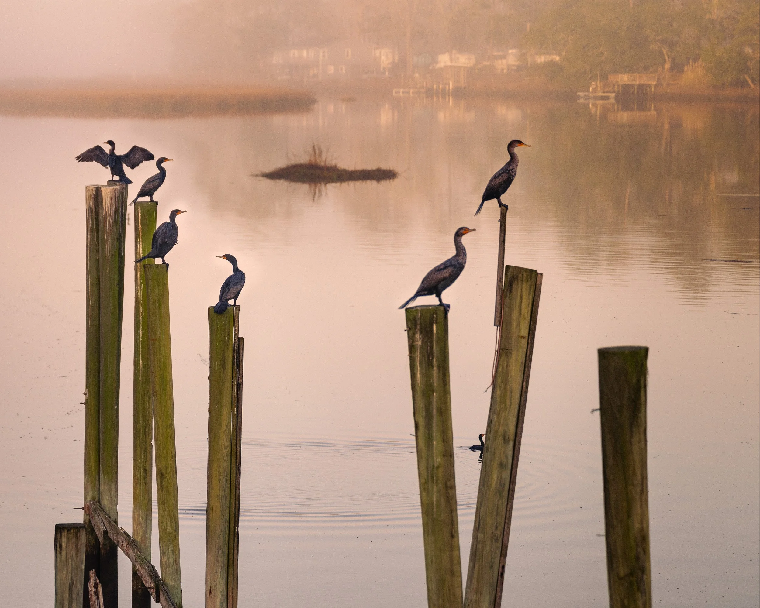 Morning Assembly-1.jpg