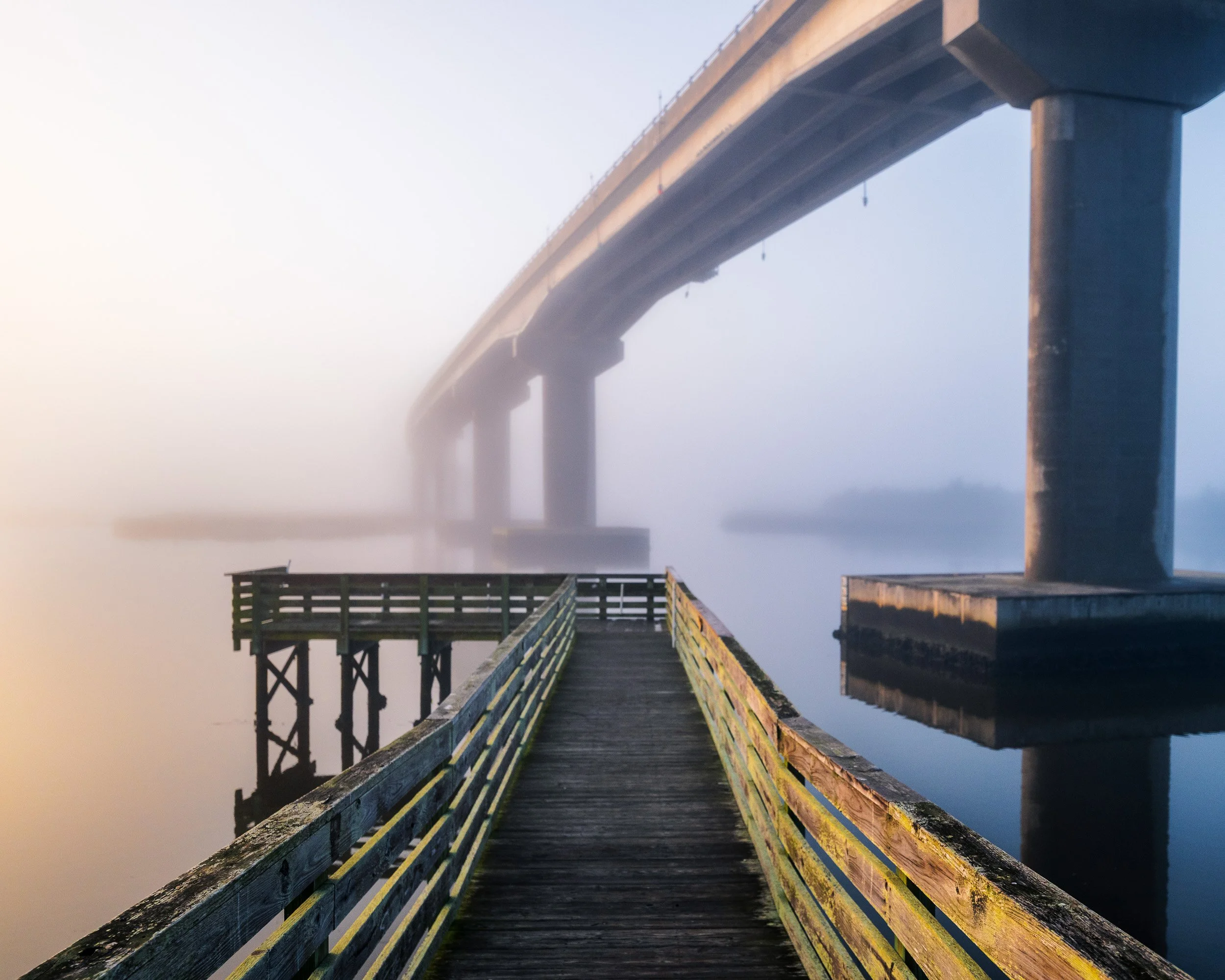Into The Fog.jpg